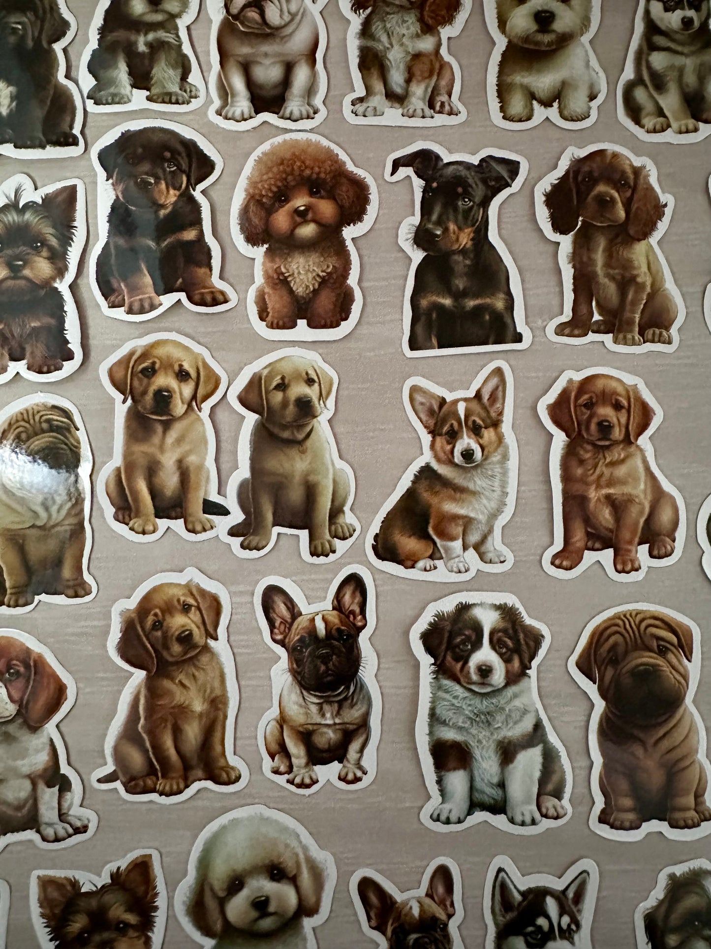 Stickers - 4 pk